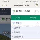 반디야식 | 켄싱턴 리조트 하동 스파 노천탕 숙소 60% 할인 혜택 정보