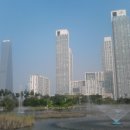 국제몰 이미지