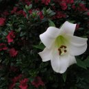 농사꾼농장 이미지