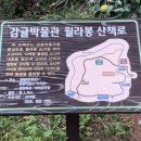 신효동-24 이미지