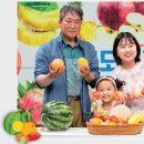 제철기획 세계일보