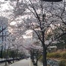 경기도 수원시 권선구 권중로 171 이미지