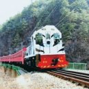 백두세상 | 백두대간협곡열차 V-Train, 가을을 넘어 겨울까지! 후기박스가 전하는 특급 기차여행 꿀팁