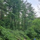 산음자연휴양림 이미지