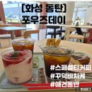 동탄강아지분양도그데이 | 동탄디저트카페 애견동반 포우즈데이 후기 I 주차