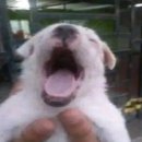 성민도서관 | 그동안..