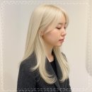 씨유 인천산곡중앙점 | 애쉬브라운 잘 빼주는 염색맛집 로이드밤산곡중앙점 레이어드컷 산곡동미용실