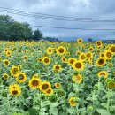 다미솔 | ■ 다미솔(에어비앤비)독채펜션 이용후기