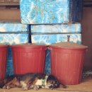 청해모텔 이미지