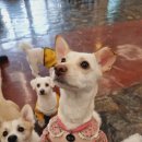 오디가개 이미지