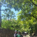 용마농장 이미지