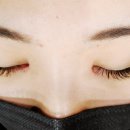 더시크라인 이미지