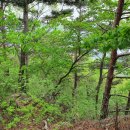 담양체육관 이미지