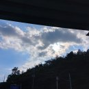 미평로 Daum카페