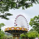 금오카 | 구미 티니핑랜드 금오랜드 티니핑카페 21개월, 6살 여아 방문후기