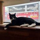 시루민박 이미지