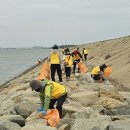 태안나비 이미지