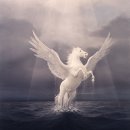 페가수스 이미지