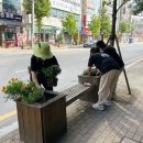 초록마을수원 이미지