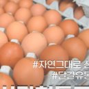 알사랑협동조합