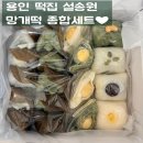 수지베어 | 용인 수지떡집 설송원 수지죽전본점 망개떡 종합세트 솔직후기