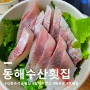 큰바다횟집 | 김천 밀치회 맛집은 역시 【동해수산횟집】 맛도리 제철 밀치회 포장 배달