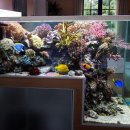 해물박사 이미지