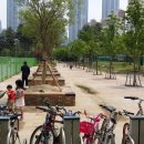 동탄센트럴파크 인라인스케이트장 이미지