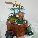 파티라슈 이미지