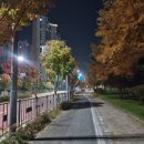 세종시청 후문 이미지