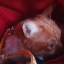 쥬시동물병원 이미지