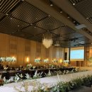 강남-250 | 강남 잠실 웨딩홀 아펠가모 잠실 투어 후기(홀, 견적, 뷔페)