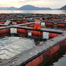 (주)아쿠아넷 이미지