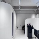 비그로브 비 이미지