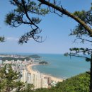 송정메타세콰이어길 이미지