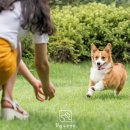 끌림 동물병원 이미지