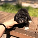 천천히 - 군위군 치산효령로 2374 | 천천히