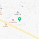 무정면 은행나무 축제 | [무정면 은행나무축제] 담양의 가을 속으로, 은행나무 아래 펼쳐지는 축제의 장