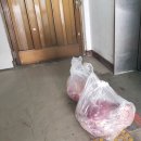 용화정사 케이에스피뉴스