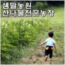 샘말농장 Daum카페