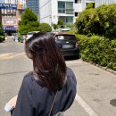 예지미용실 | 창원 용호동미용실 [슬릭헤어] 레이어드컷 예지쌤 후기