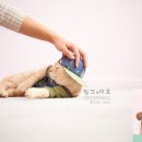 팅크 이미지