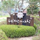 홍천더테라스