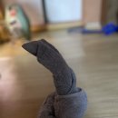 미미네민박 이미지