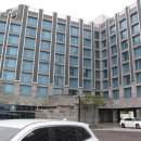 성산읍 고성sk1빌라 옆 | 성산일출봉 근처 제주 호텔 추천 (더베스트호텔, 제주 브라운 스위트 호텔)