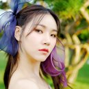혼담 이미지
