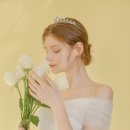 헤이즐리 이미지