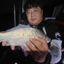 항포낚시터 이미지