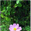 영월산방 이미지