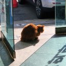 삼육슈퍼 | 2025년, 12월